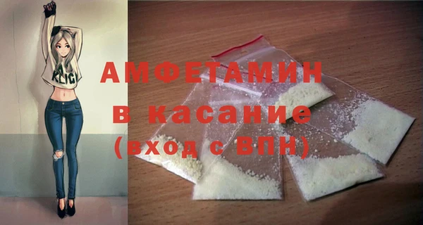 индика Горняк