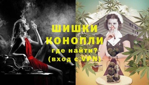 индика Горняк