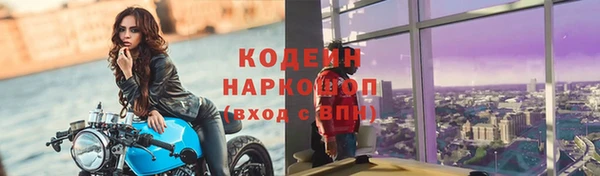 амф Вяземский