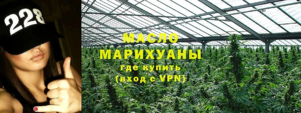 индика Горняк