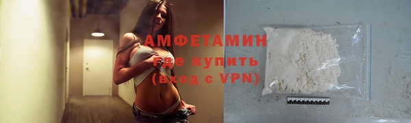 амф Вяземский
