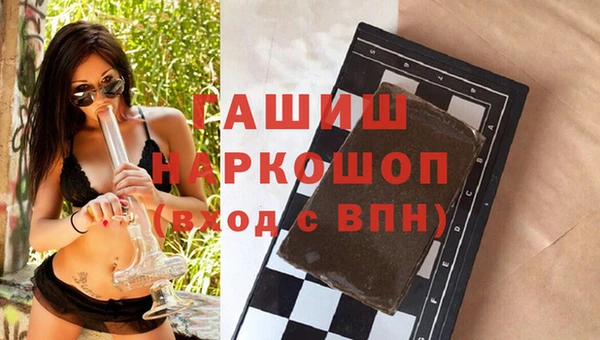 индика Горняк