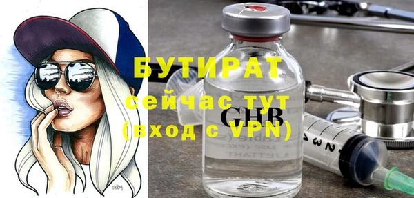 индика Горняк